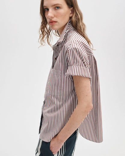 Brown Stripe