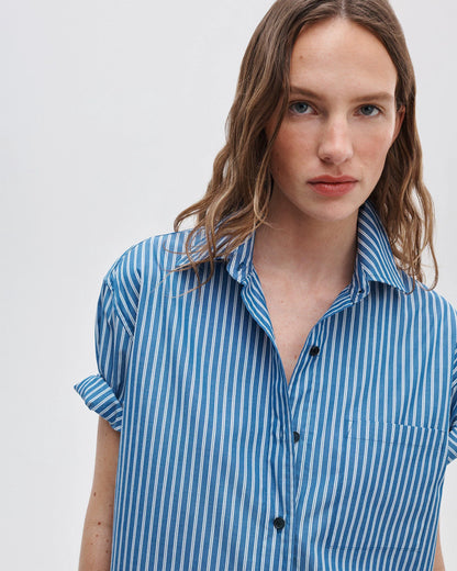 Blue Stripe