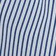 Blue Stripe
