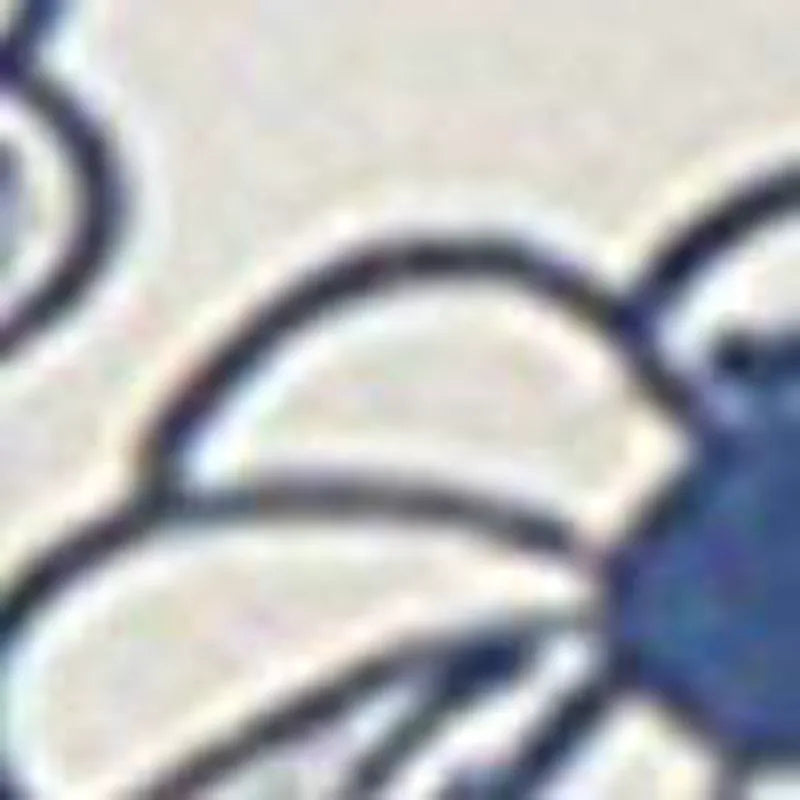Turtledove