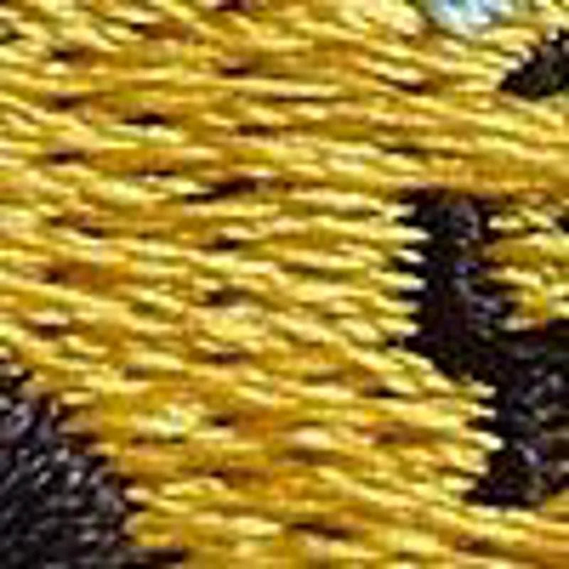 Yellow Taxi Cab