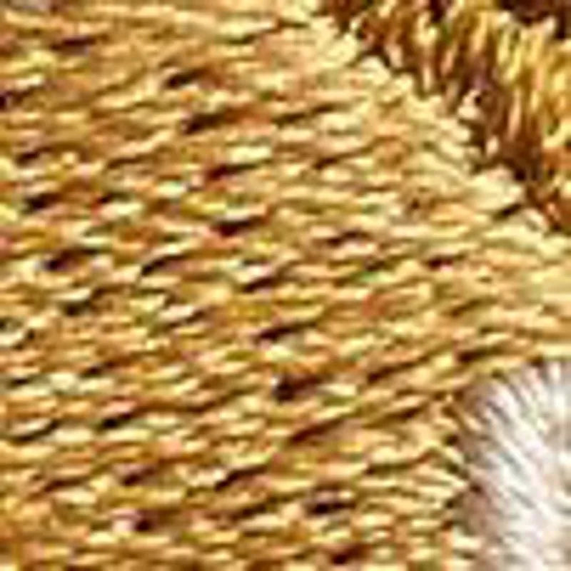 Crossiant