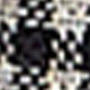 Black Gingham