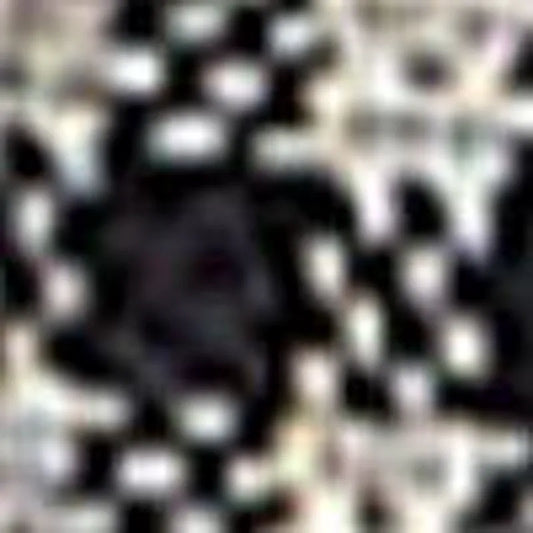 Black Gingham